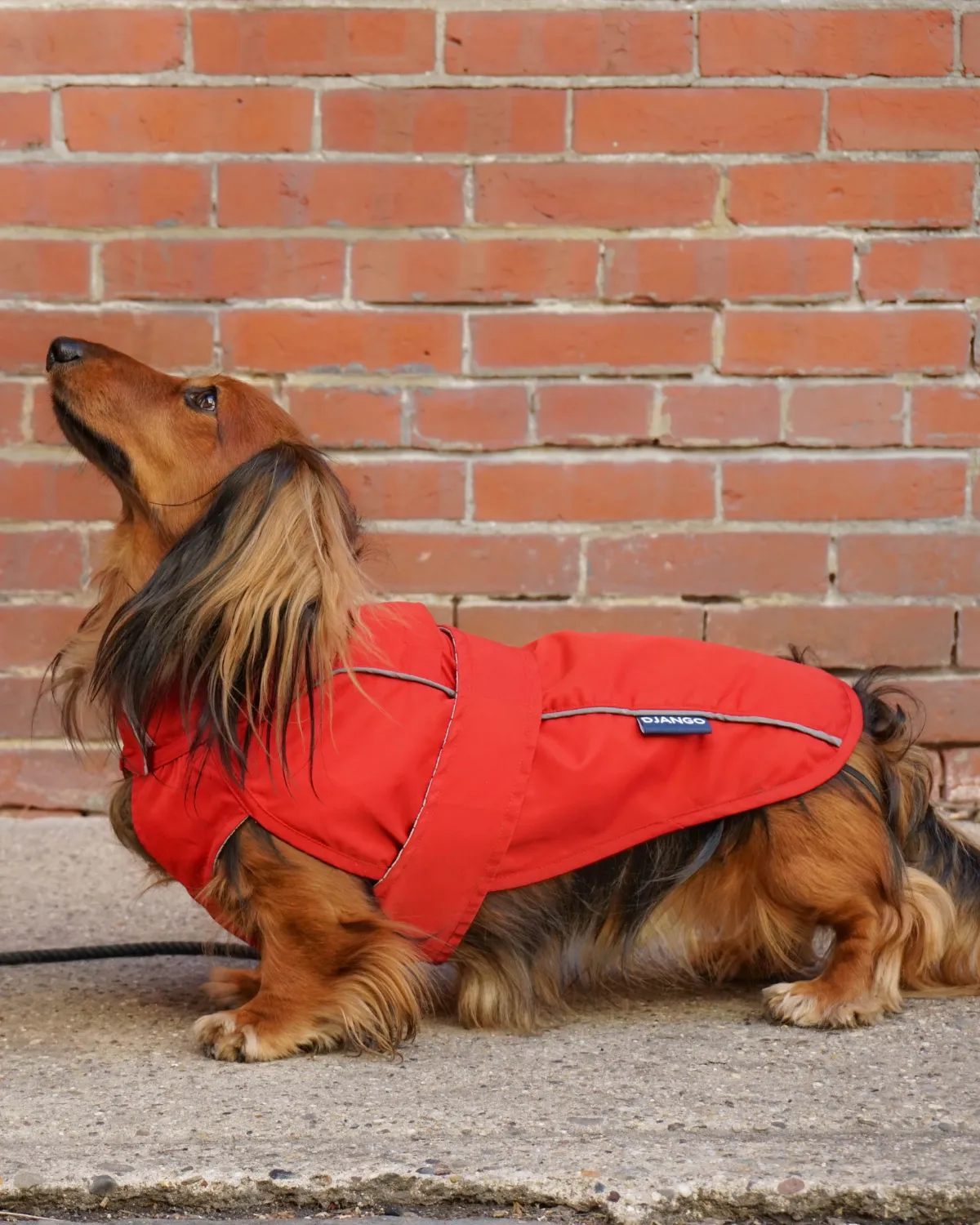 City Slicker All-Weather Dog Jacket & Raincoat - Cherry Red